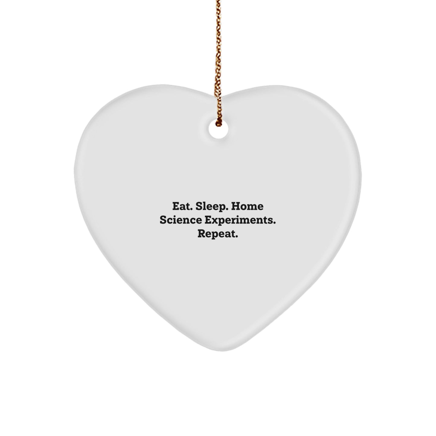 Funny Home Science Experiments Heart Ornament Gift for Friends Family Christmas Unique Presents from Mom Dad - Image 1