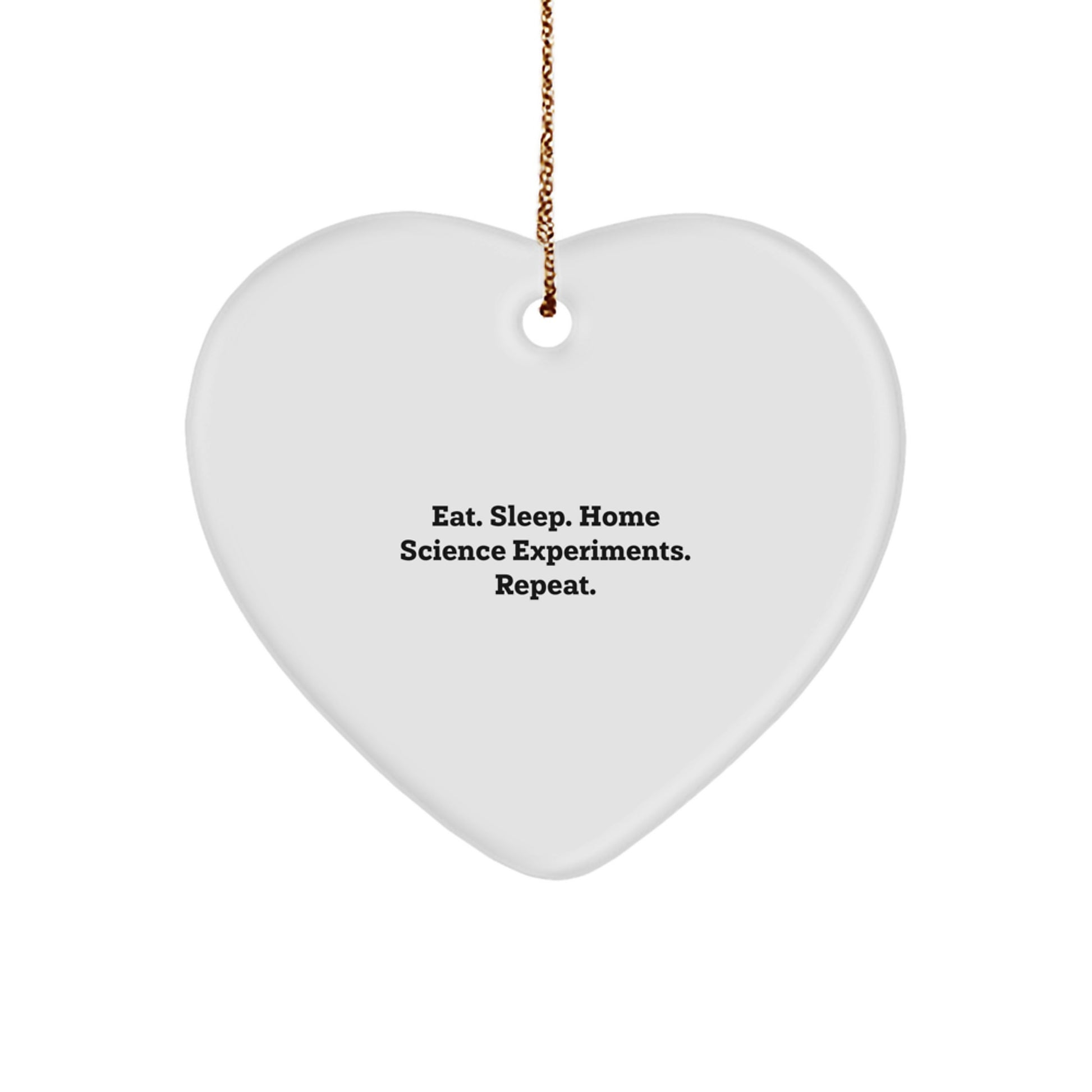 Funny Home Science Experiments Heart Ornament Gift for Friends Family Christmas Unique Presents from Mom Dad - Image 1