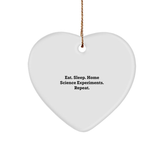Funny Home Science Experiments Heart Ornament Gift for Friends Family Christmas Unique Presents from Mom Dad - Image 1