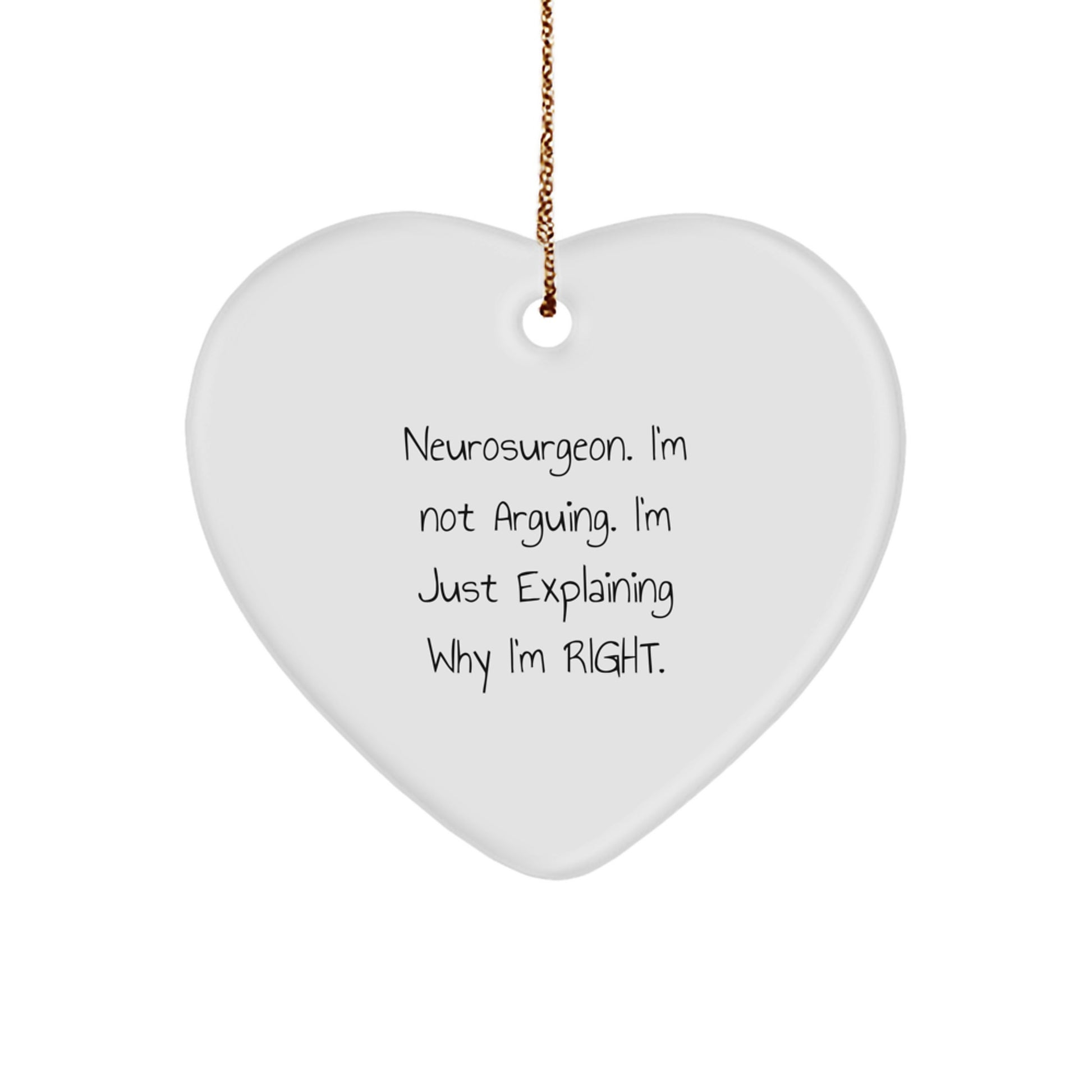 Funny Neurosurgeon Gifts from Friends to Friends, Heart Ornament for Neurosurgeon Men, Cute Christmas Unique Gifts for Him or Her, Explaining Why I'm Right - Image 1