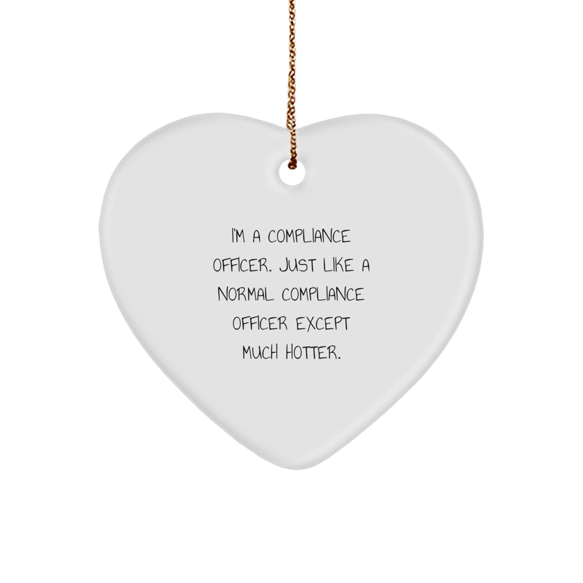 Funny Compliance Officer Gifts for Men Compliance Officer Christmas Unique Ornaments Gifts from Men to Compliance Officer - Image 1