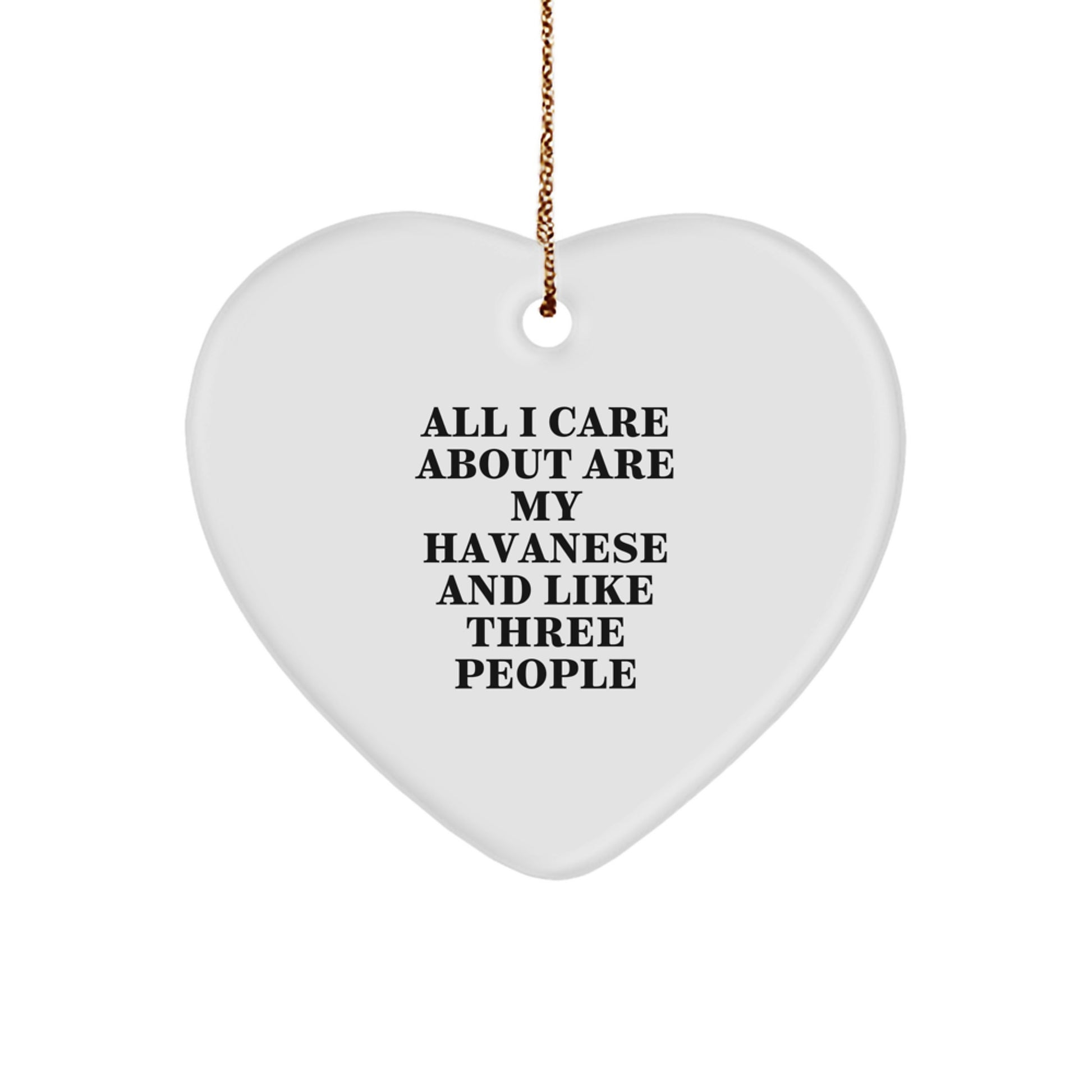 Unique Havanese Dog Gifts from Men for Havanese Dog Lovers, Funny Heart Ornament for Christmas Unique Gifts - Image 1