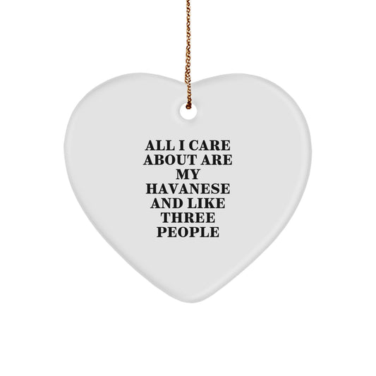 Unique Havanese Dog Gifts from Men for Havanese Dog Lovers, Funny Heart Ornament for Christmas Unique Gifts - Image 1