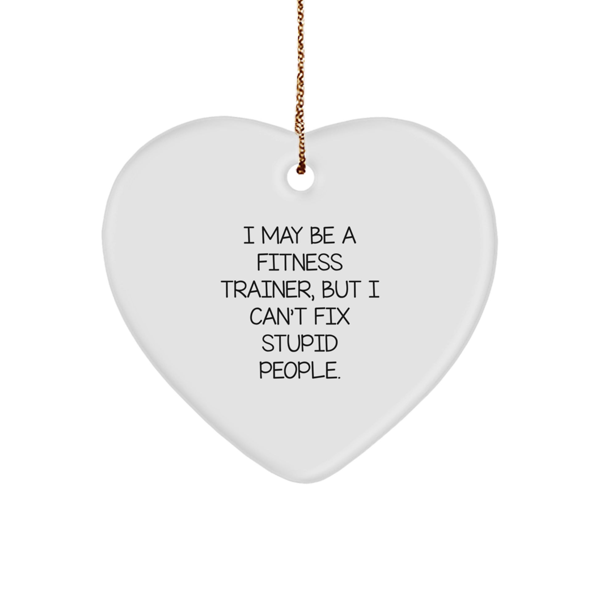 Funny Fitness Trainer Gift for Men - I May Be A Fitness Trainer But I Cant Fix Stupid People - Image 1