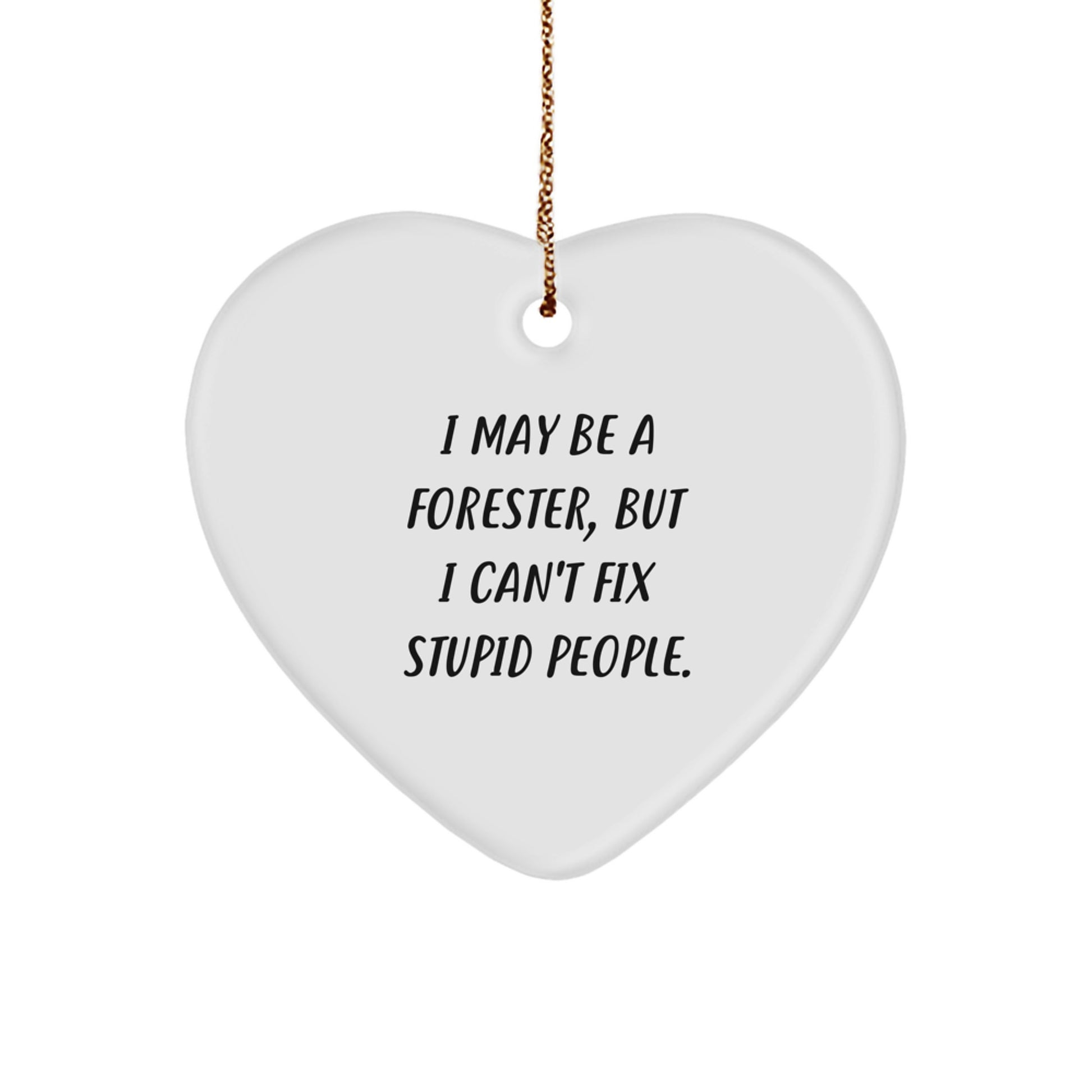 Funny Forester Gifts from Friends for Men - Heart Ornament with 'I May Be A Forester, But I Can't Fix Stupid People.' Quote, Unique Christmas Decorations Gifts - Image 1