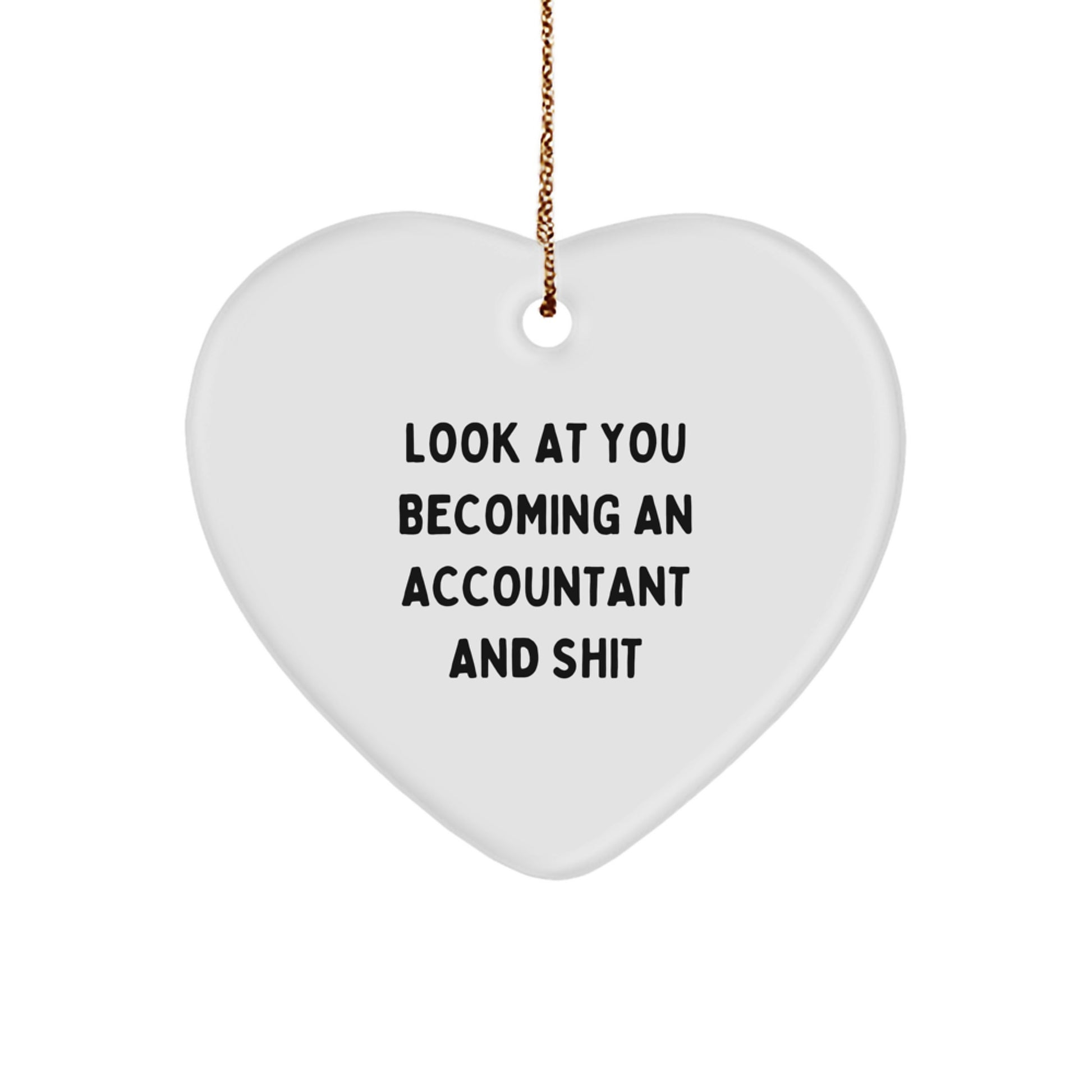 Accountant Christmas Ornament for Her Present Gift - Holiday Cheer - Image 1