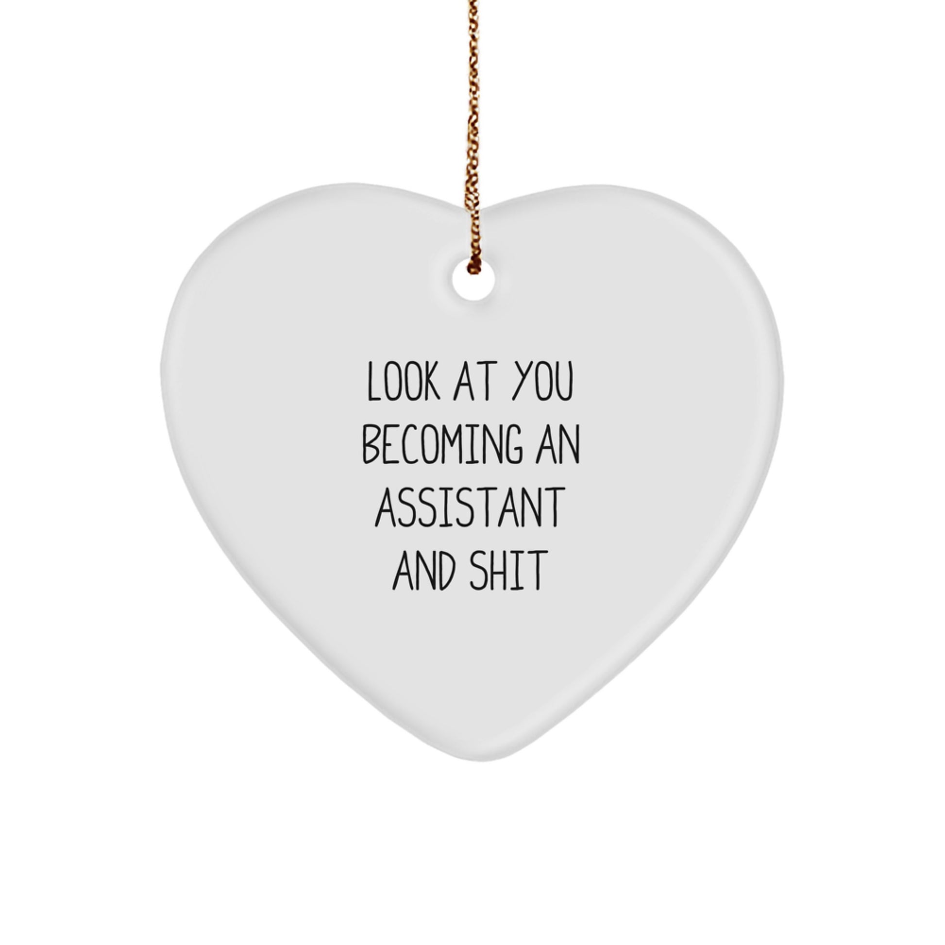Assistant Heart Ornament Funny Quote Gifts for Assistant from Friends - Christmas Unique Gifts for Assistant - Image 1