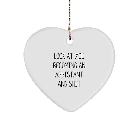 Assistant Heart Ornament Funny Quote Gifts for Assistant from Friends - Christmas Unique Gifts for Assistant - Image 1