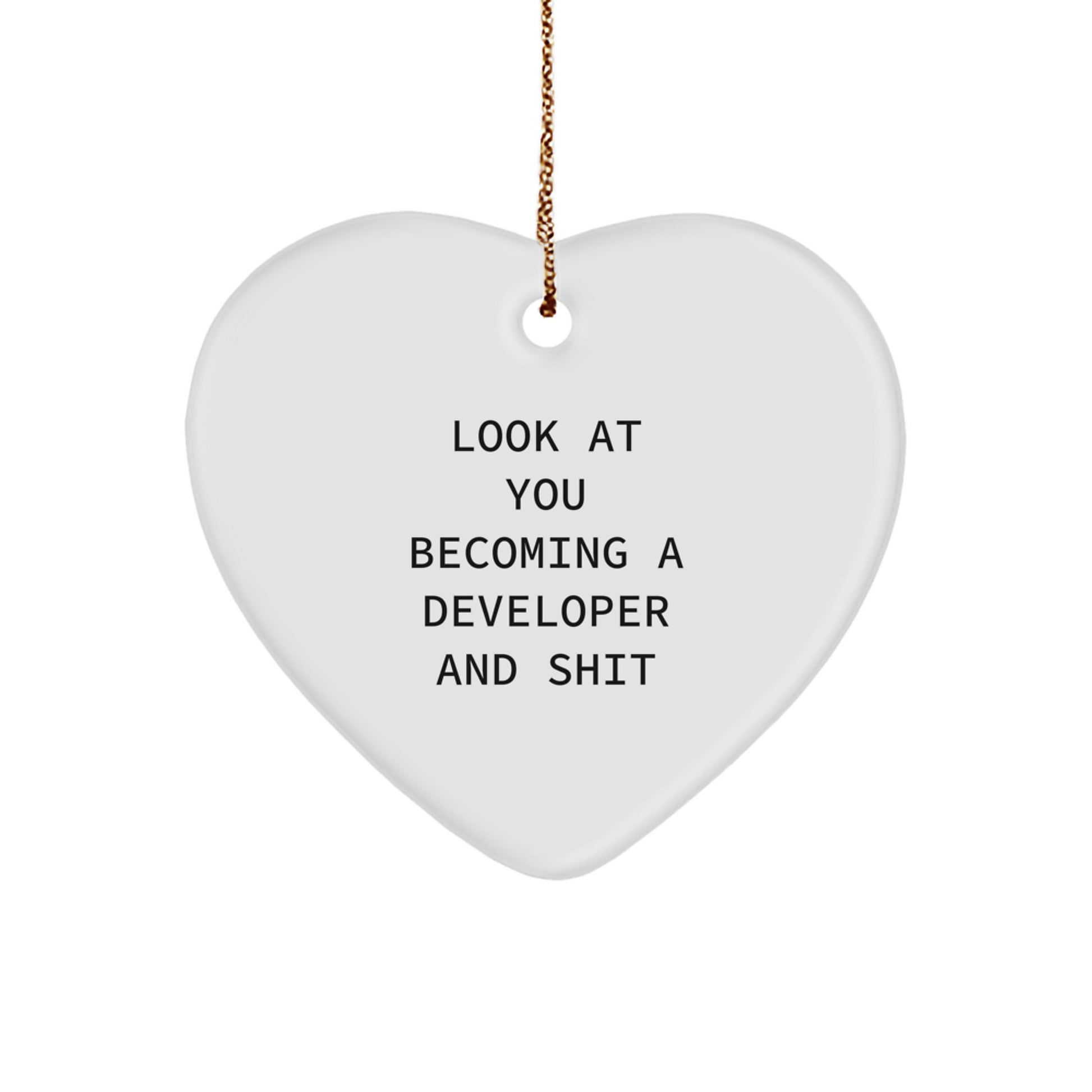 Funny Developer Heart Ornament Gifts for Friends from Men, Developer Christmas Unique Ornaments for Women Coworkers Family - Image 1