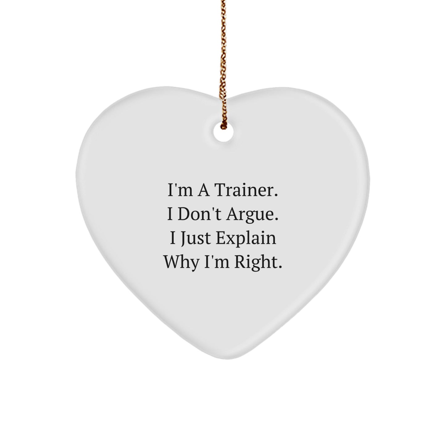 Funny Trainer Sayings Gifts from Men for Trainer Friends Unique Christmas Unique Gifts for Trainer - Image 1