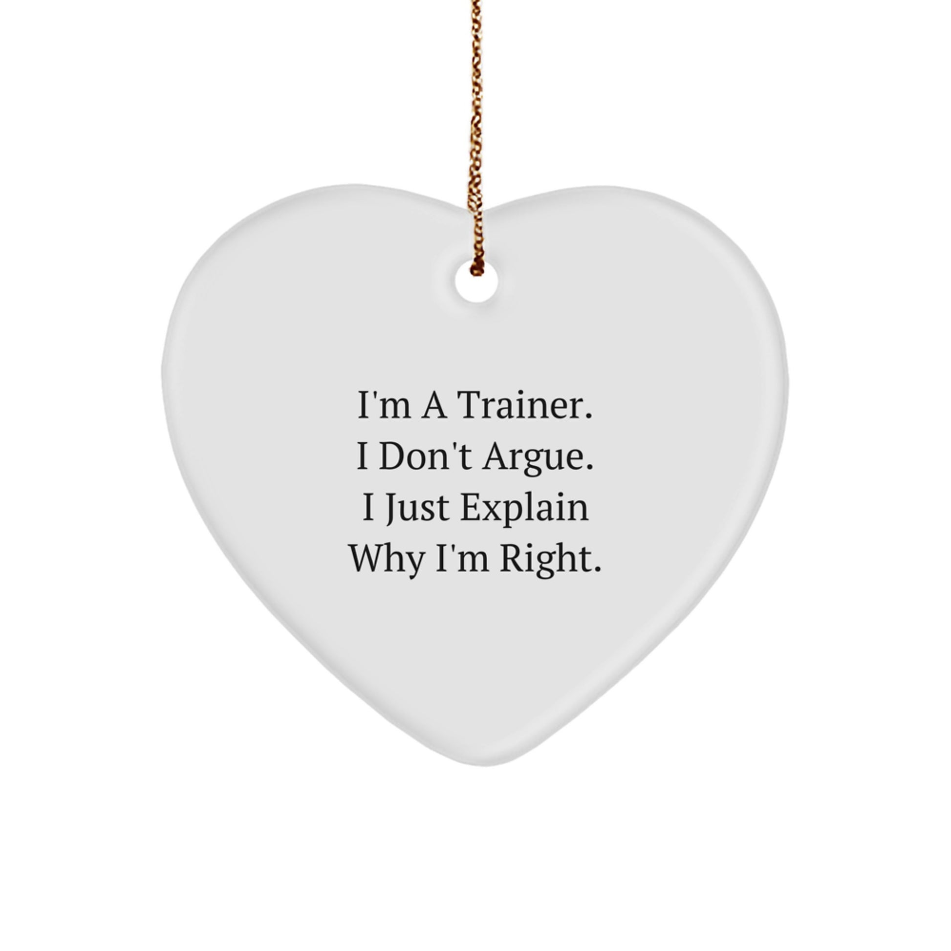 Funny Trainer Sayings Gifts from Men for Trainer Friends Unique Christmas Unique Gifts for Trainer - Image 1