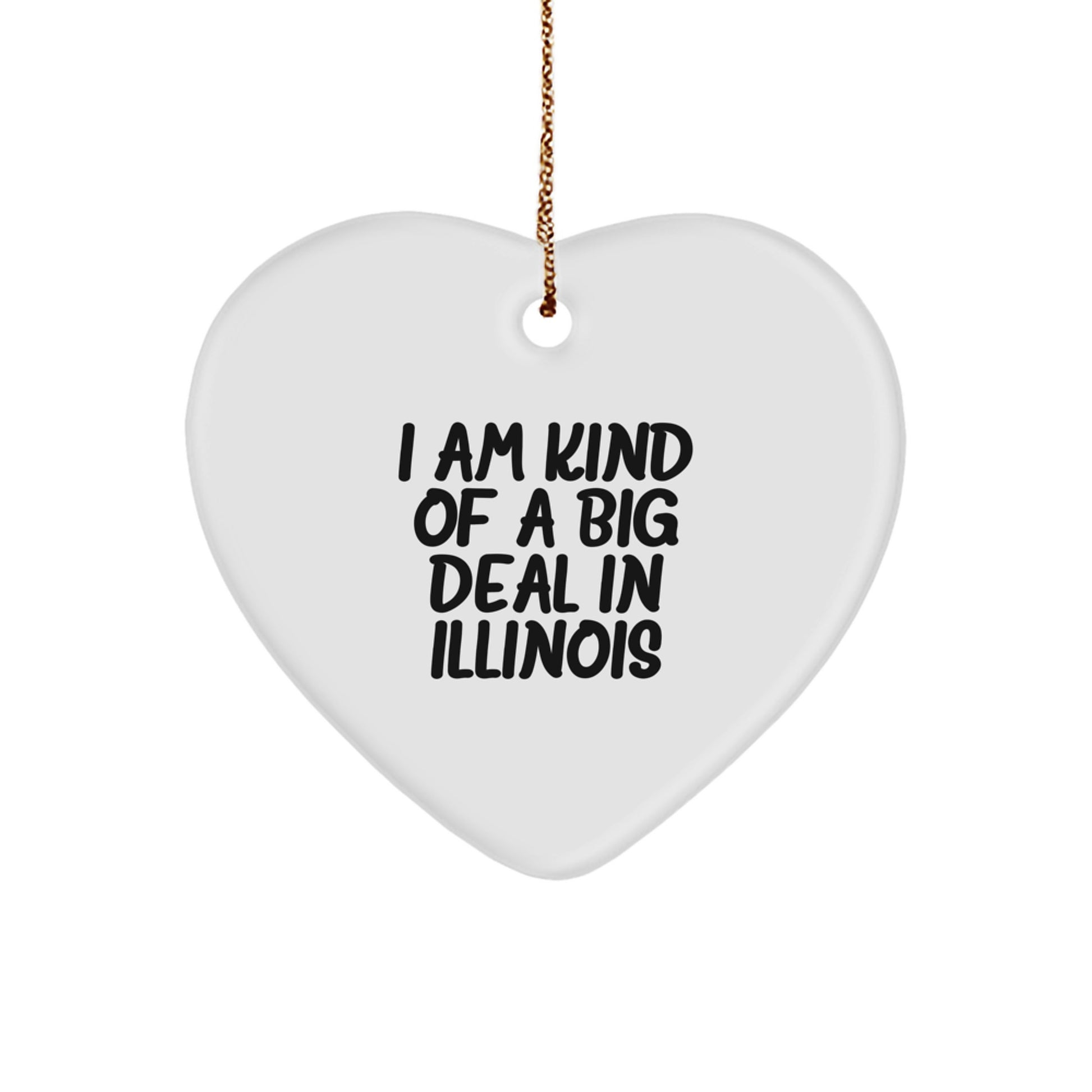 Funny Illinois Heart Ornament Gifts from Friends and Family for Men and Women with Quote I Am Kind Of A Prime Selection In Illinois - Image 1