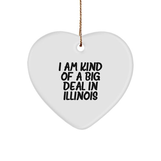 Funny Illinois Heart Ornament Gifts from Friends and Family for Men and Women with Quote I Am Kind Of A Prime Selection In Illinois - Image 1