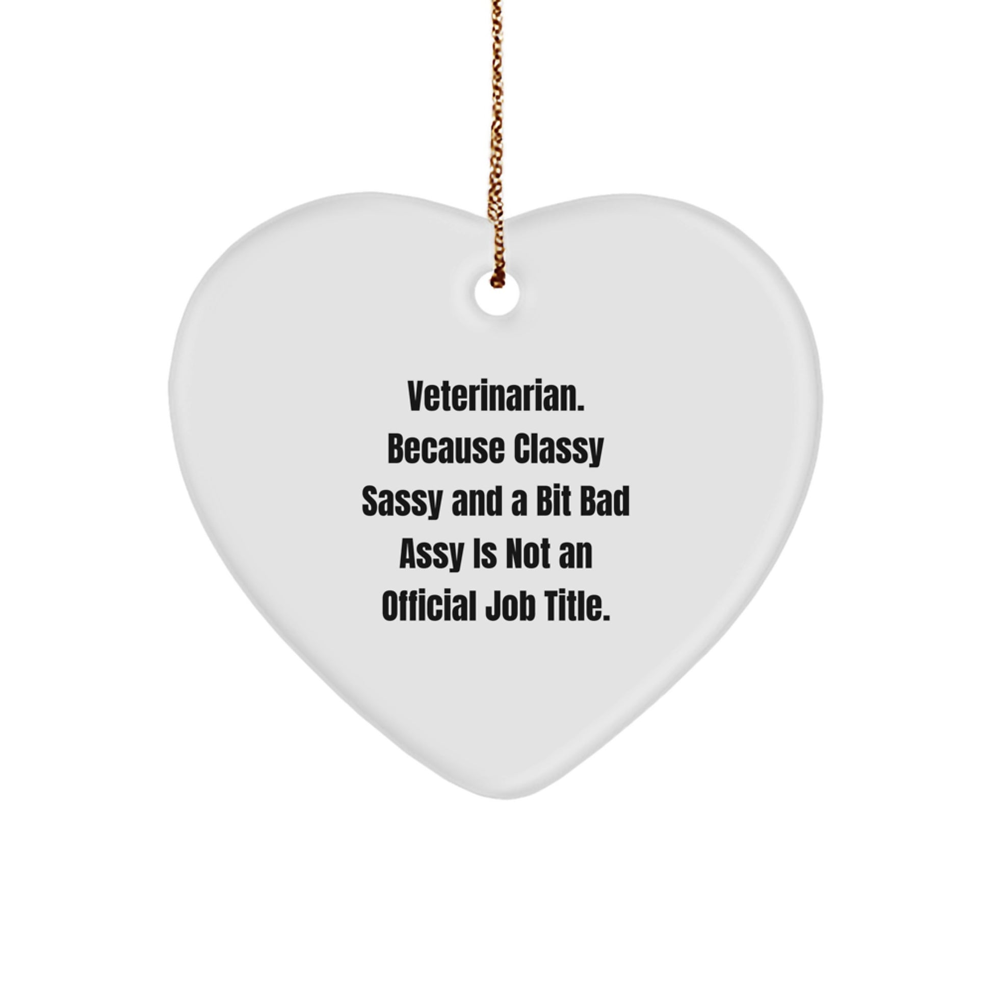 Veterinarian Heart Ornament Favorite for Kids Surprise Xmas Holiday Gift - Image 1