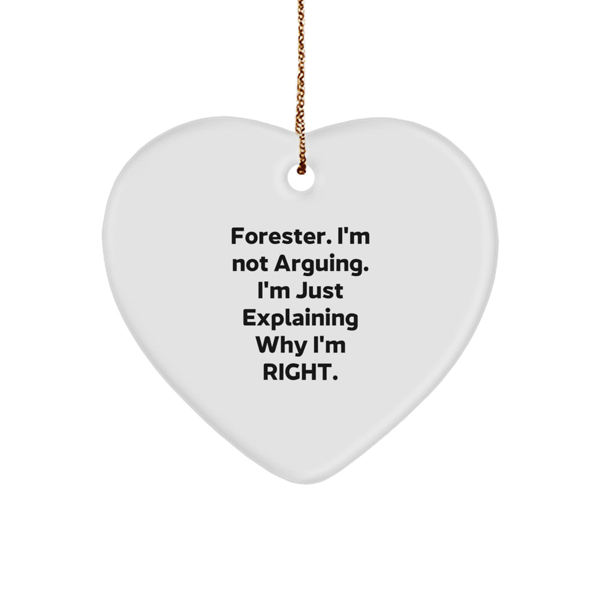 Forester Funny Heart Ornament Gift for Him, Funny Forester Christmas Unique Gifts from Friends, Inspirational Heart Shape Present - Image 1