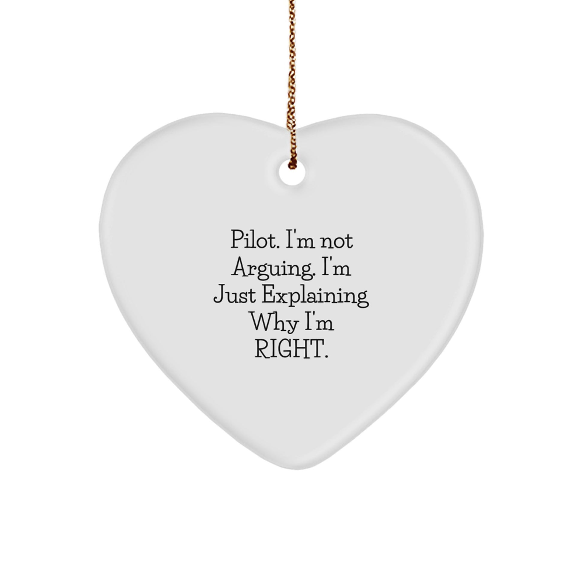 Pilot Favorite Heart Ornament for Kids Christmas Gift - Image 1