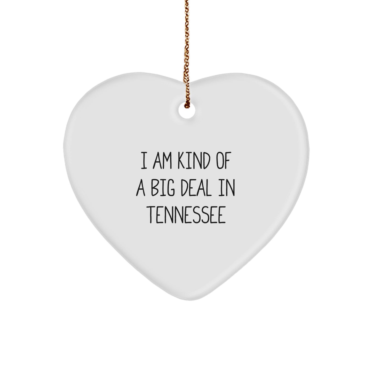 Funny Heart Ornament Gifts from Tennessee for Christmas - I'm Kind of a Prime Selection - Image 1