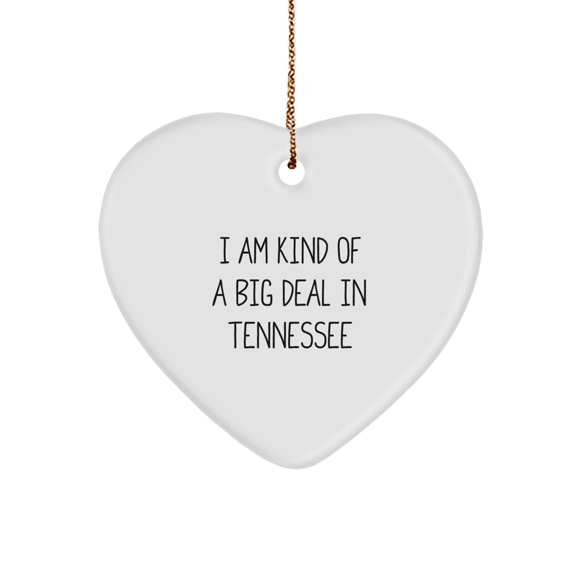 Funny Heart Ornament Gifts from Tennessee for Christmas - I'm Kind of a Prime Selection - Image 1