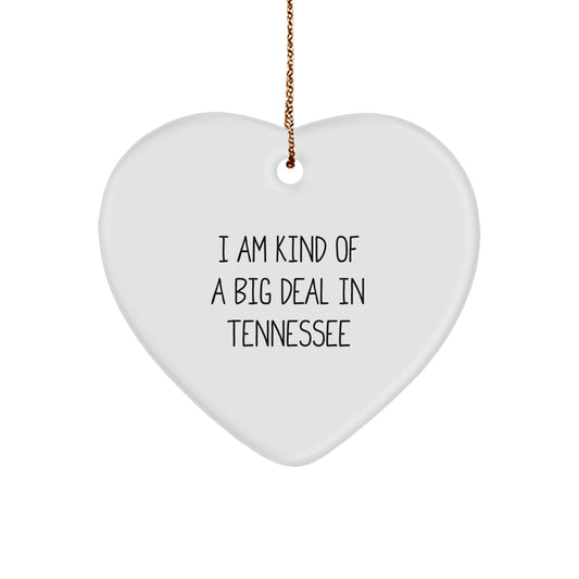 Funny Heart Ornament Gifts from Tennessee for Christmas - I'm Kind of a Prime Selection - Image 1