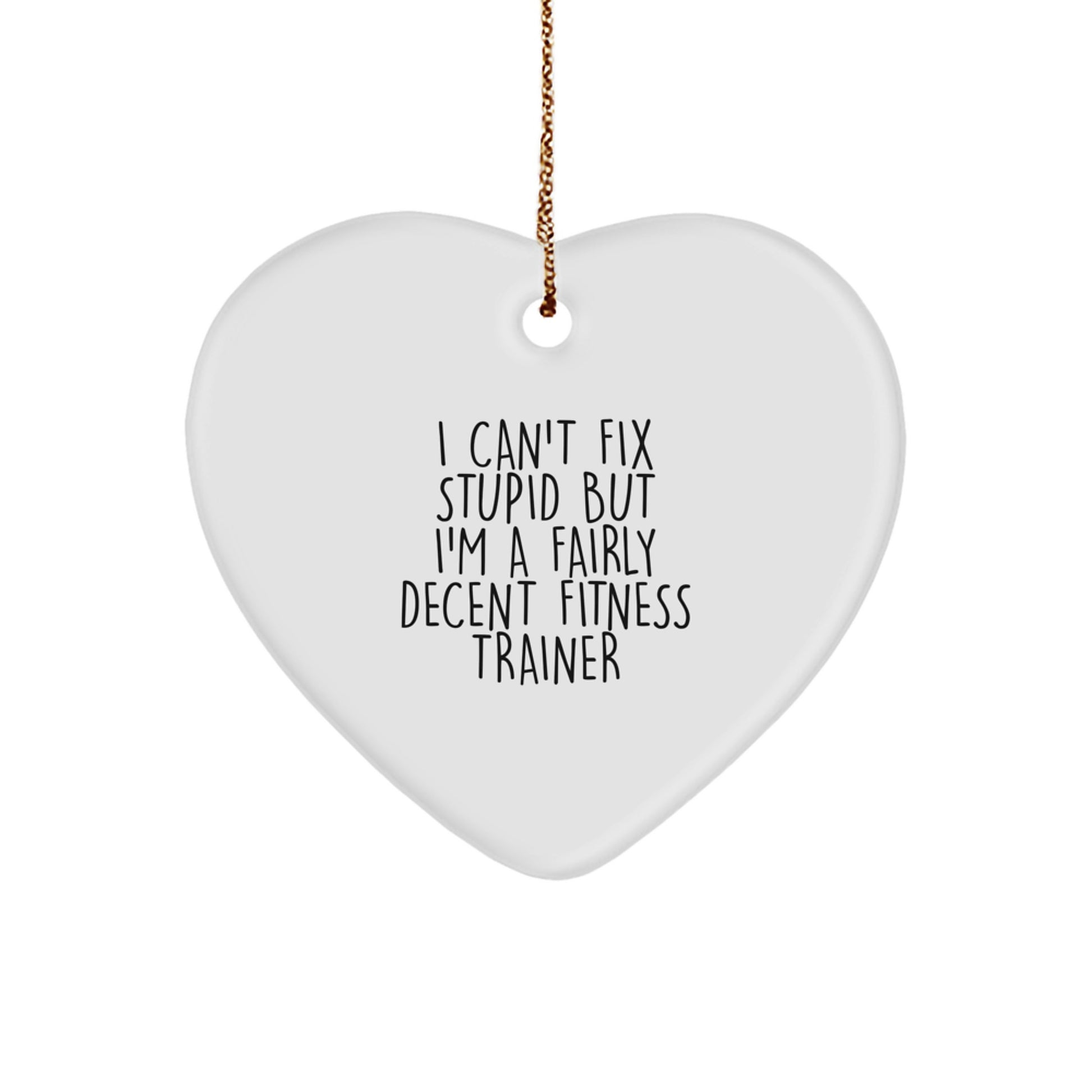 Funny Fitness Trainer Gifts for Men Women Friends from Fitness Trainers - Heart Ornament I 'Can't Fix Stupid' - Image 1