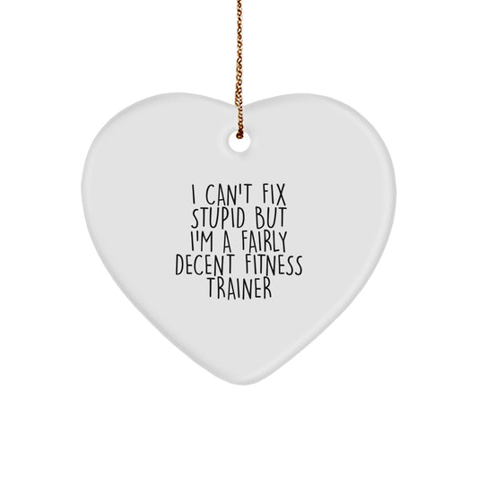 Funny Fitness Trainer Gifts for Men Women Friends from Fitness Trainers - Heart Ornament I 'Can't Fix Stupid' - Image 1