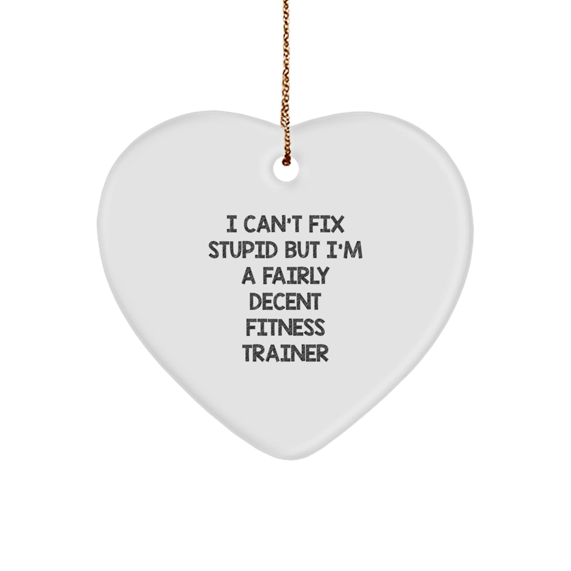 Funny Fitness Trainer Gifts from Friends for Men - Heart Ornament with I Can't Fix Stupid But I'm A Fairly Decent Fitness Trainer Quote, Christmas Unique Gifts - Image 1
