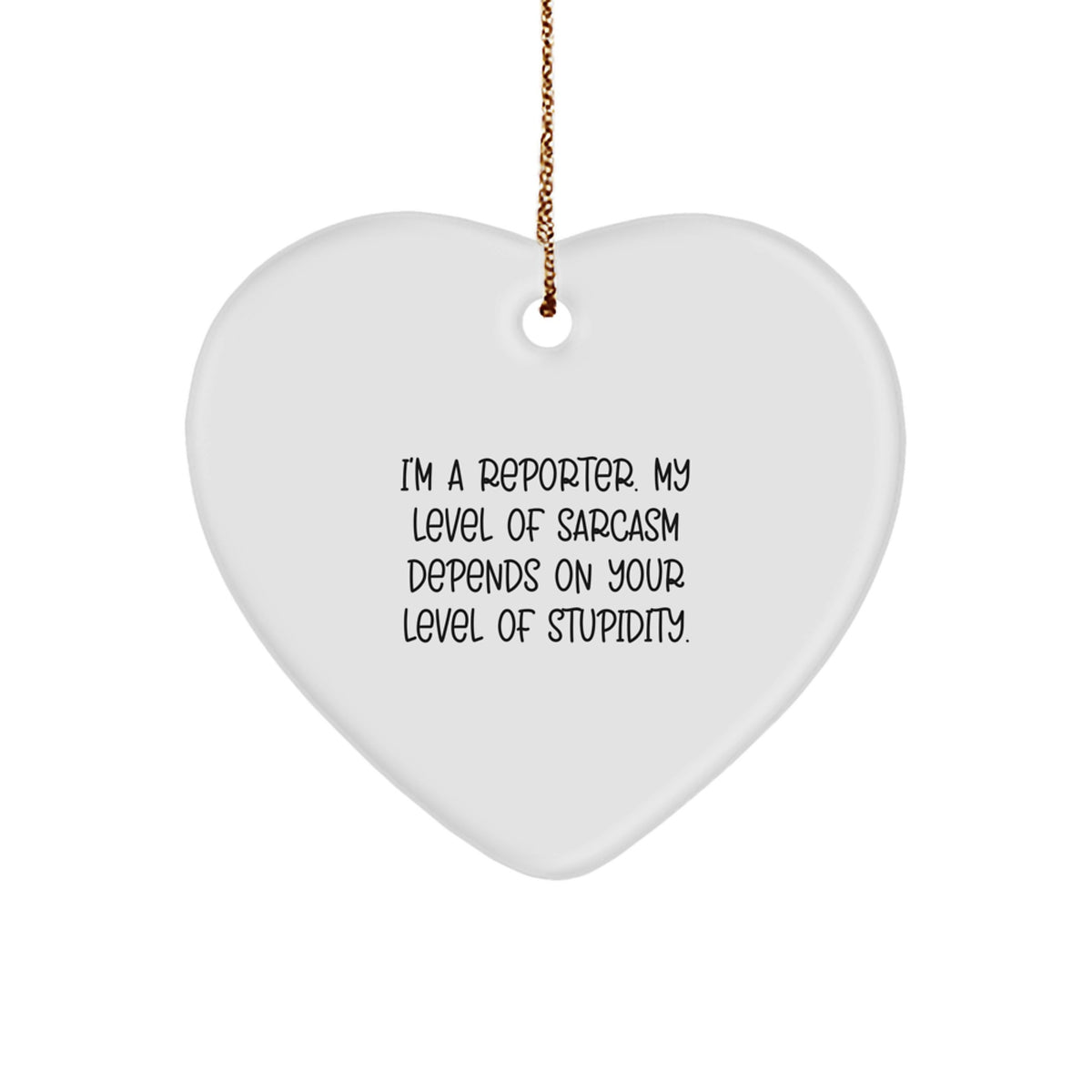Reporter Keepsake Christmas Ornament for Him Gift Sarcasm on Stupidity - Image 1