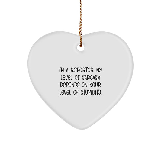 Reporter Keepsake Christmas Ornament for Him Gift Sarcasm on Stupidity - Image 1