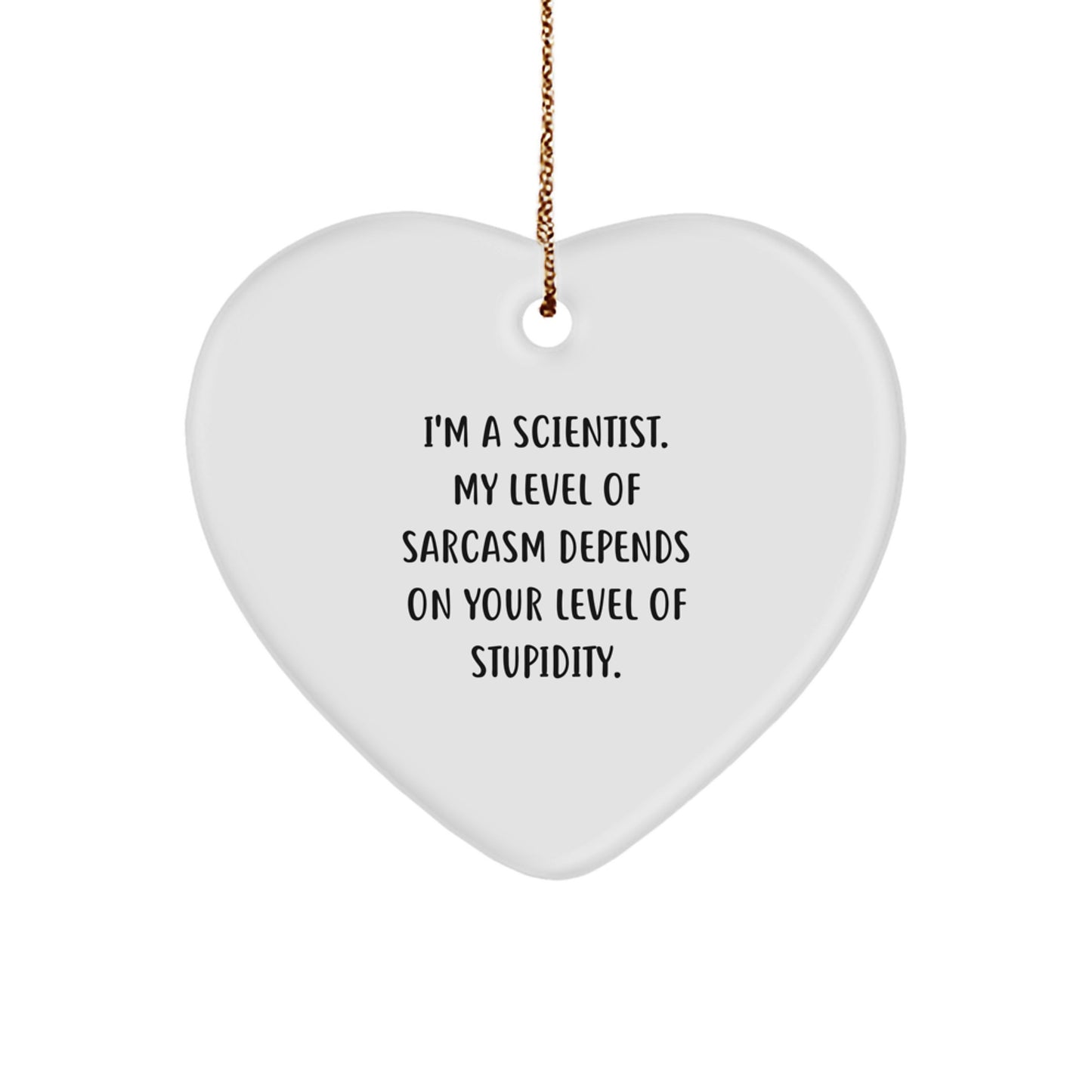 Funny Scientist Gifts from Family for Scientist Friends - Heart Ornament Christmas Unique Gifts - Image 1