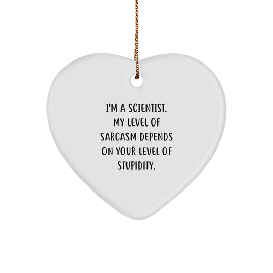 Funny Scientist Gifts from Family for Scientist Friends - Heart Ornament Christmas Unique Gifts - Image 1