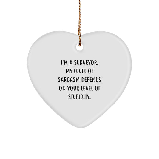 Funny Surveyor Gifts for Men, Heart Ornament with Sarcastic Quote, Gifts from Friends for Surveyor - Image 1