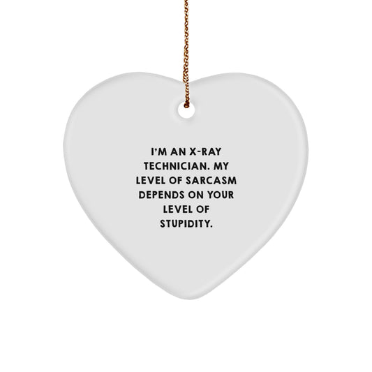 Funny X-Ray Technician Heart Ornament Gifts from Coworkers for Friends, Sarcasm Level Depends on Stupidity, Christmas Unique - Image 1