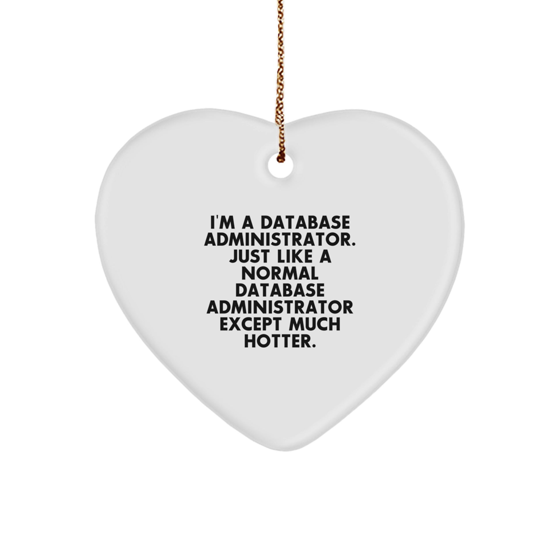 Funny Gift for Database Administrators, Heart Ornament, Christmas Unique Gifts from Friends to Family, I'm A Database Administrator. Just Like A Normal Database Administrator Except Much Hotter. - Image 1