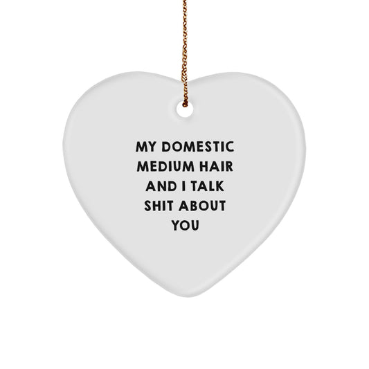 Funny Heart Ornament for Domestic Medium Hair Owners, Gifts from Friends, Christmas Unique Decorations, Heart Shaped with Quote 'My Domestic Medium Hair And I Talk Shit About You' - Image 1