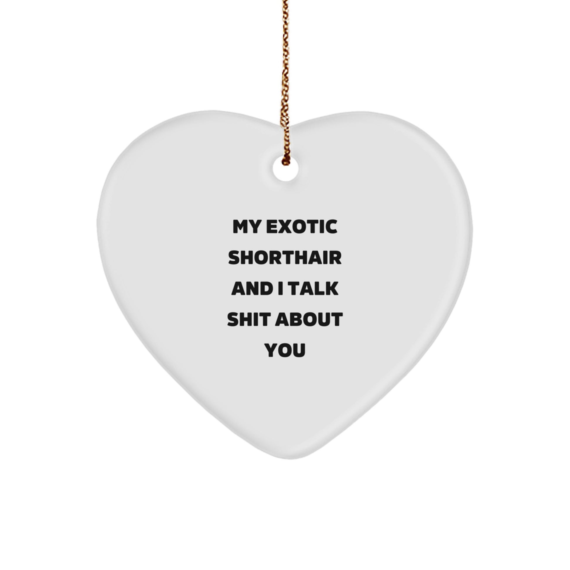 Funny Exotic Shorthair Cat Gifts for Christmas Unique Ornaments, Gifts from Friends to Exotic Shorthair Cat Owners with 'Talk Shit About You' Funny Quote - Image 1