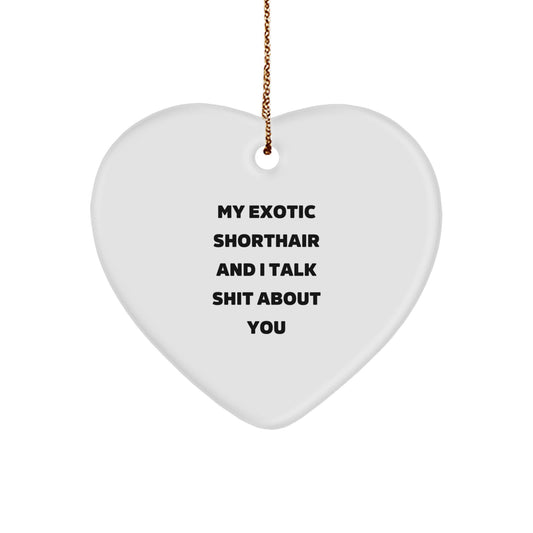 Funny Exotic Shorthair Cat Gifts for Christmas Unique Ornaments, Gifts from Friends to Exotic Shorthair Cat Owners with 'Talk Shit About You' Funny Quote - Image 1