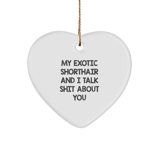 Funny Exotic Shorthair Cat Gifts for Women, Heart Ornament, Christmas Unique Gifts from Friends, 'My Exotic Shorthair And I Talk Shit About You' - Image 1