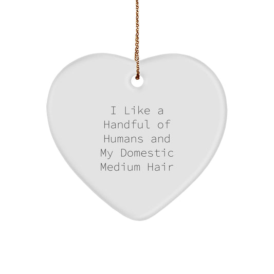 Funny Domestic Medium Hair Christmas Unique Gifts from Men, Heart Ornament for Domestic Medium Hair Lover, 'I Like A Handful Of Humans And My Domestic Medium Hair' Quote - Image 1