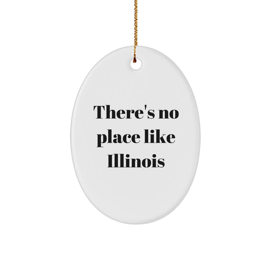 Funny Illinois Christmas Oval Ornaments Gifts from Friends for Illinois Family Members - Image 1