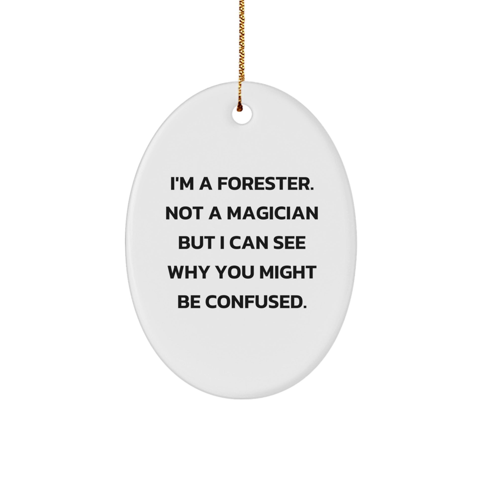 Funny Forester Gift Ideas, Oval Ornament for Forester Friends, I'm A Forester, Not A Magician Gifts from Friends for Christmas - Image 1