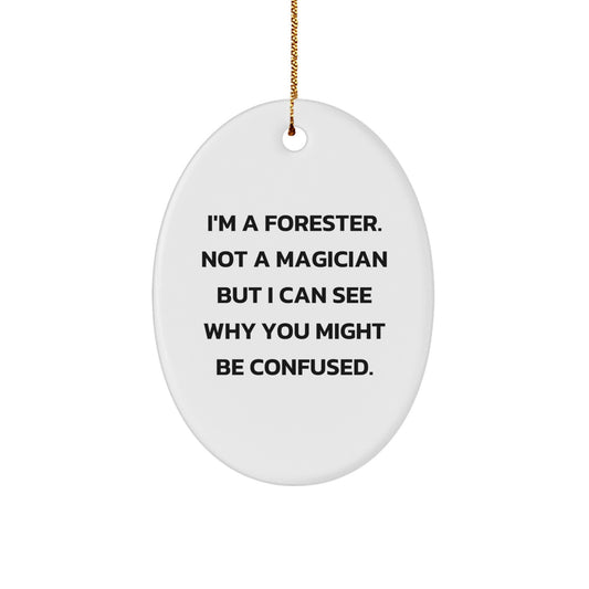 Funny Forester Gift Ideas, Oval Ornament for Forester Friends, I'm A Forester, Not A Magician Gifts from Friends for Christmas - Image 1