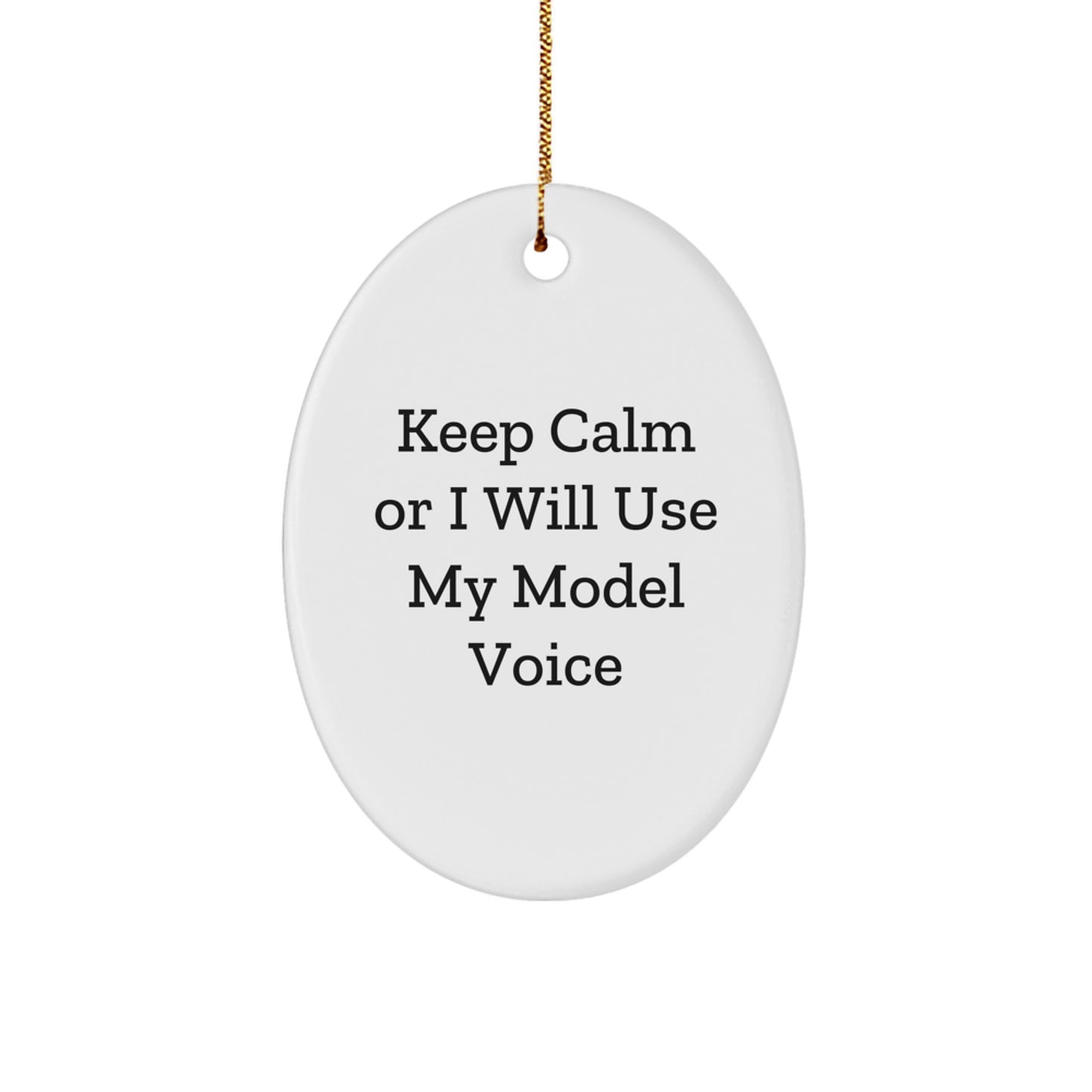 Funny Model Gifts for Model Enthusiasts Christmas Unique Oval Ornaments Gifts from Men Friends Family Oval Model Shaped Decorations - Image 1