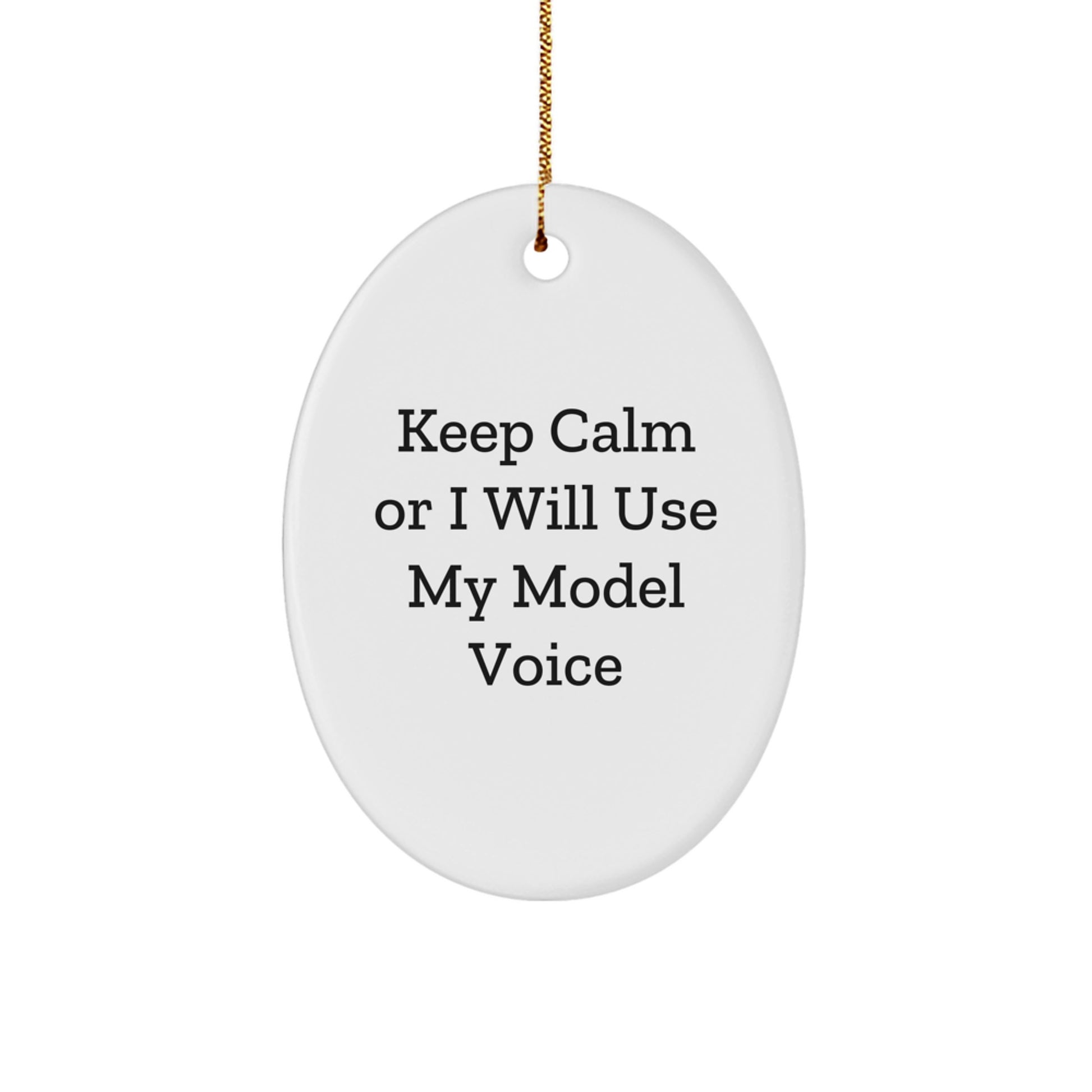 Funny Model Gifts for Model Enthusiasts Christmas Unique Oval Ornaments Gifts from Men Friends Family Oval Model Shaped Decorations - Image 1
