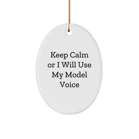 Funny Model Gifts for Model Enthusiasts Christmas Unique Oval Ornaments Gifts from Men Friends Family Oval Model Shaped Decorations - Image 1