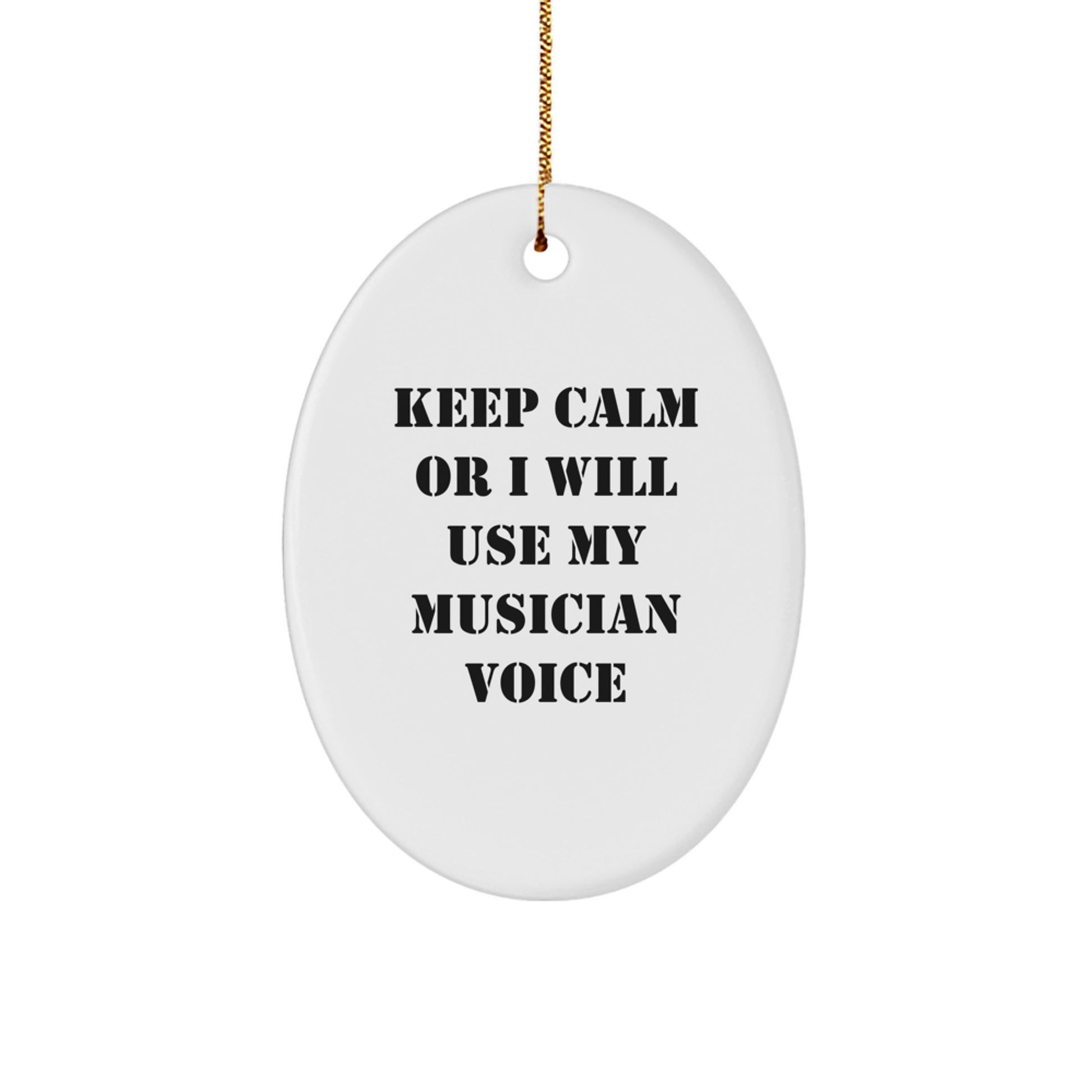 Funny Musician Oval Ornament Gifts from Friends for Musicians on Christmas - Image 1