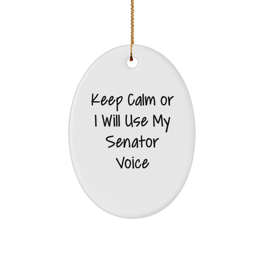 Senator Keepsake Christmas Ornament for Him Gift - Image 1
