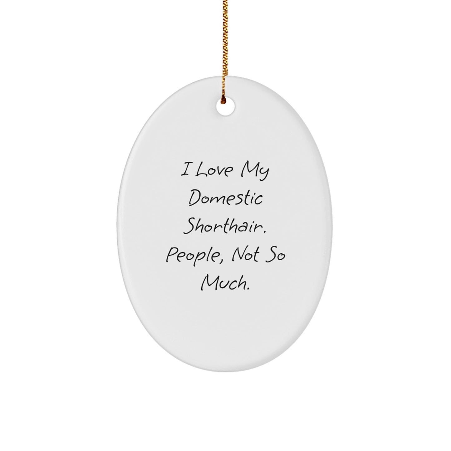 Funny Domestic Shorthair Cat Oval Ornament Gifts for Cat Lovers from Friends, Unique Christmas Unique Gifts for Home Decor - Image 1