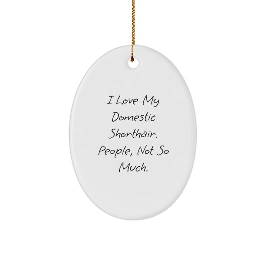 Funny Domestic Shorthair Cat Oval Ornament Gifts for Cat Lovers from Friends, Unique Christmas Unique Gifts for Home Decor - Image 1