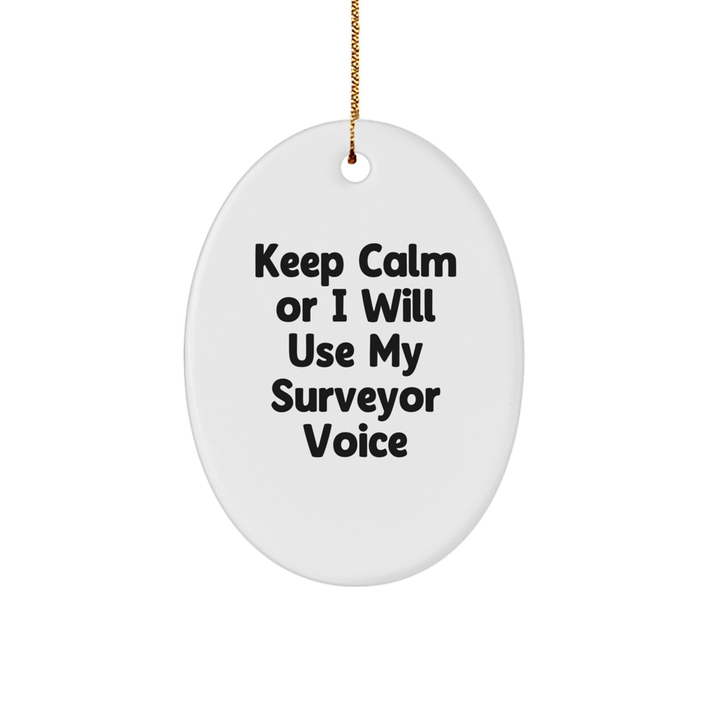 Surveyor Oval Ornament Funny Quote Gifts from Friends to Surveyor - Image 1