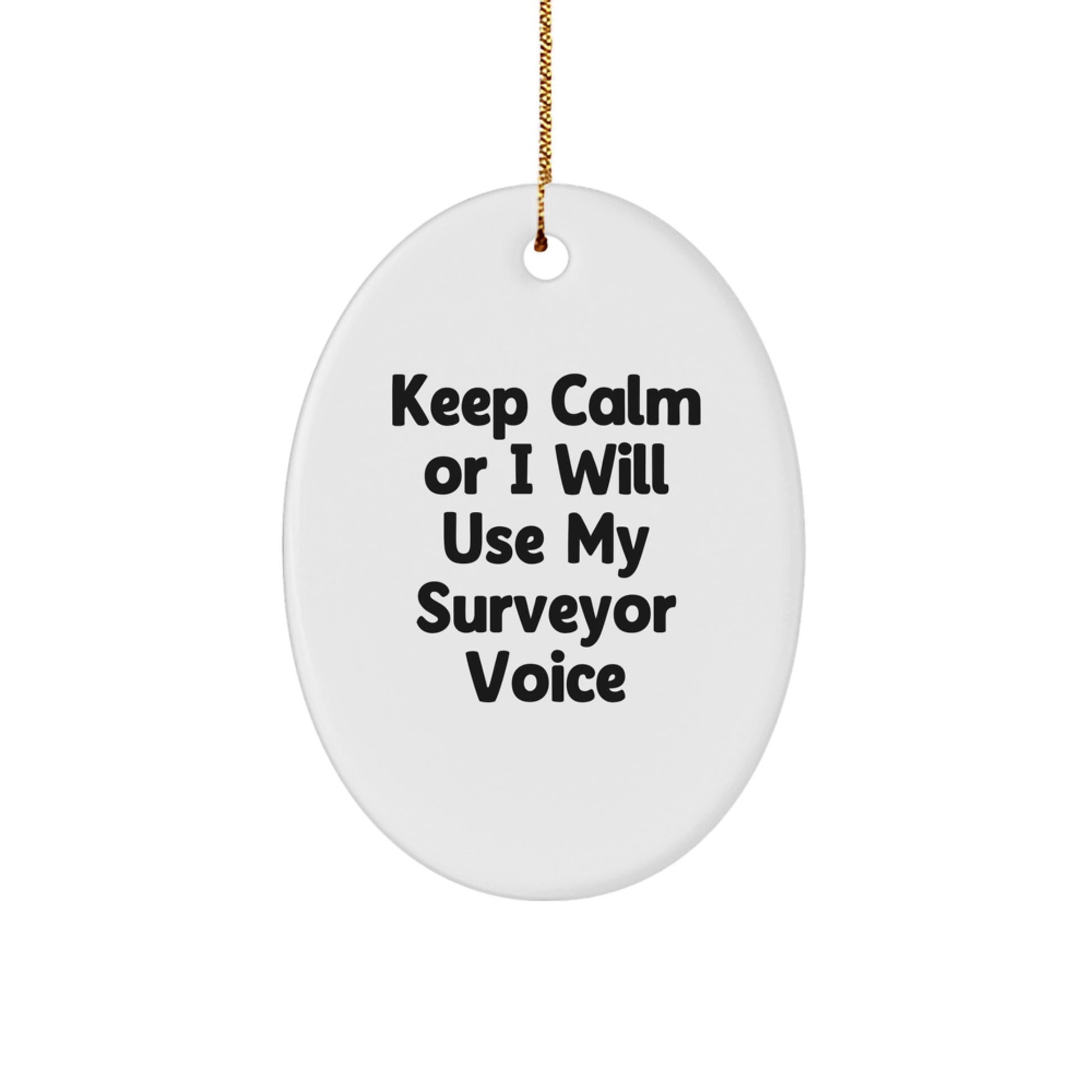 Surveyor Oval Ornament Funny Quote Gifts from Friends to Surveyor - Image 1